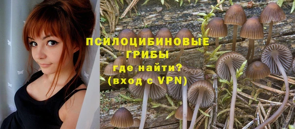 ПСИЛОЦИБИНОВЫЕ ГРИБЫ Зеленокумск