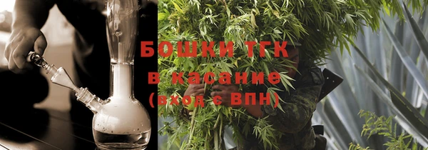 ПСИЛОЦИБИНОВЫЕ ГРИБЫ Инсар