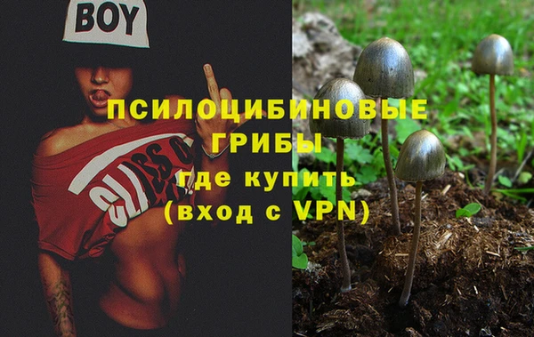 MDMA Premium VHQ Инта