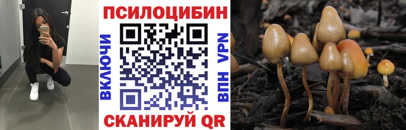 Галлюциногенные грибы Magic Shrooms  Купить закладки  Гулькевичи 